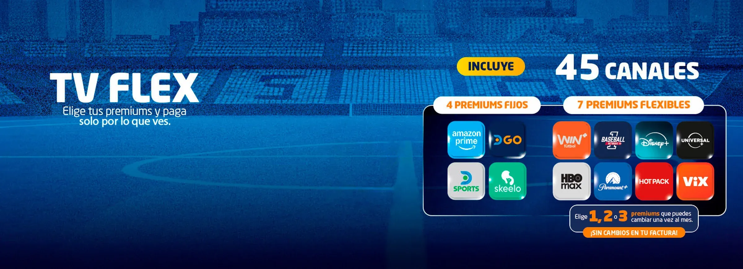 Banner Satelital