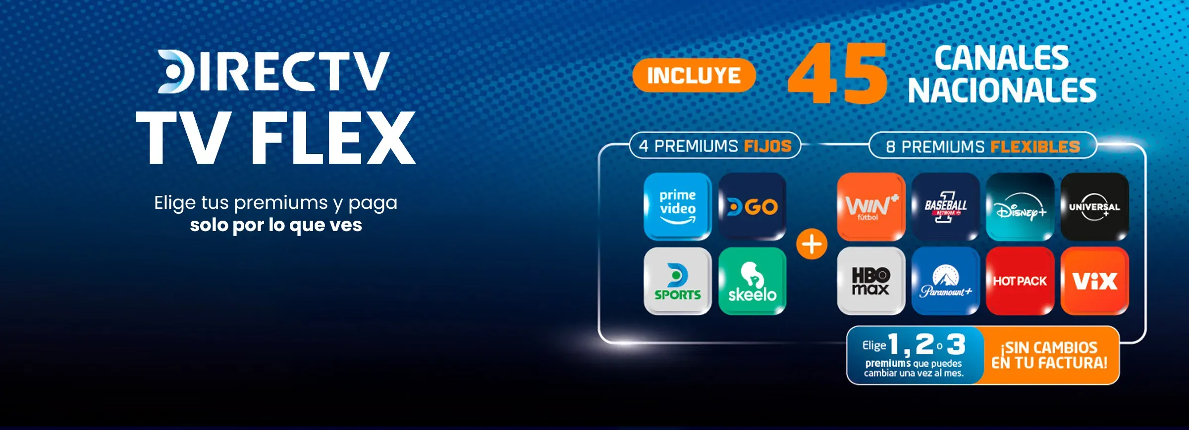 Banner Satelital